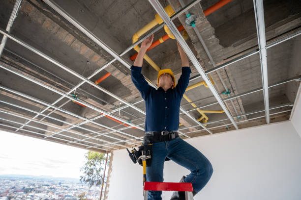 Best Local Plumber Services  in Lebanon, IN